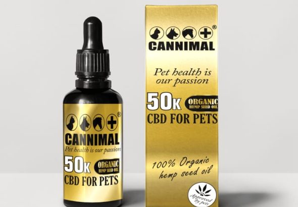 WhatsApp Image 2026-02-10 at 7.11.23 PM (3)